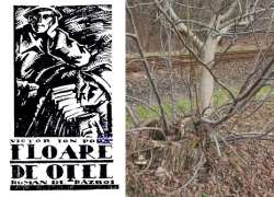 Recenzie carte: „Floare de oţel” de Victor Ion Popa