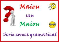 Maieu, adică maiou. Maiou, adică maieu